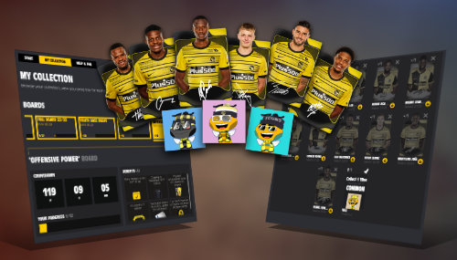 BSC Young Boys Collectors Boards